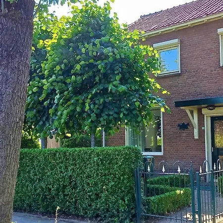 House, 5 Minutes Walking Distance From Forest *